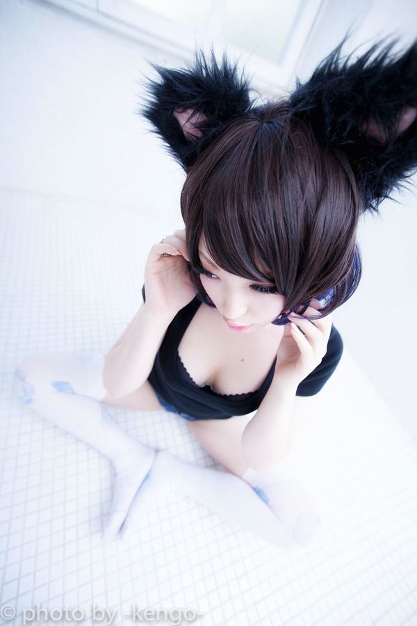 Usagi Necomimi [Kucing Solo] [Kandang kelinci]