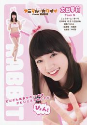 NMB48 Akari Yoshida Kei Jonishi Miyuki Watanabe Kaede Yagura Aya Yamamoto Kanako Muro [Young Animal] 2014 No.17 Ảnh