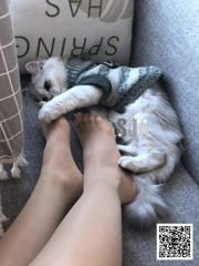 [Jiaye SJA] Vol.013 Jiaye's best friend's perspective "Meow"
