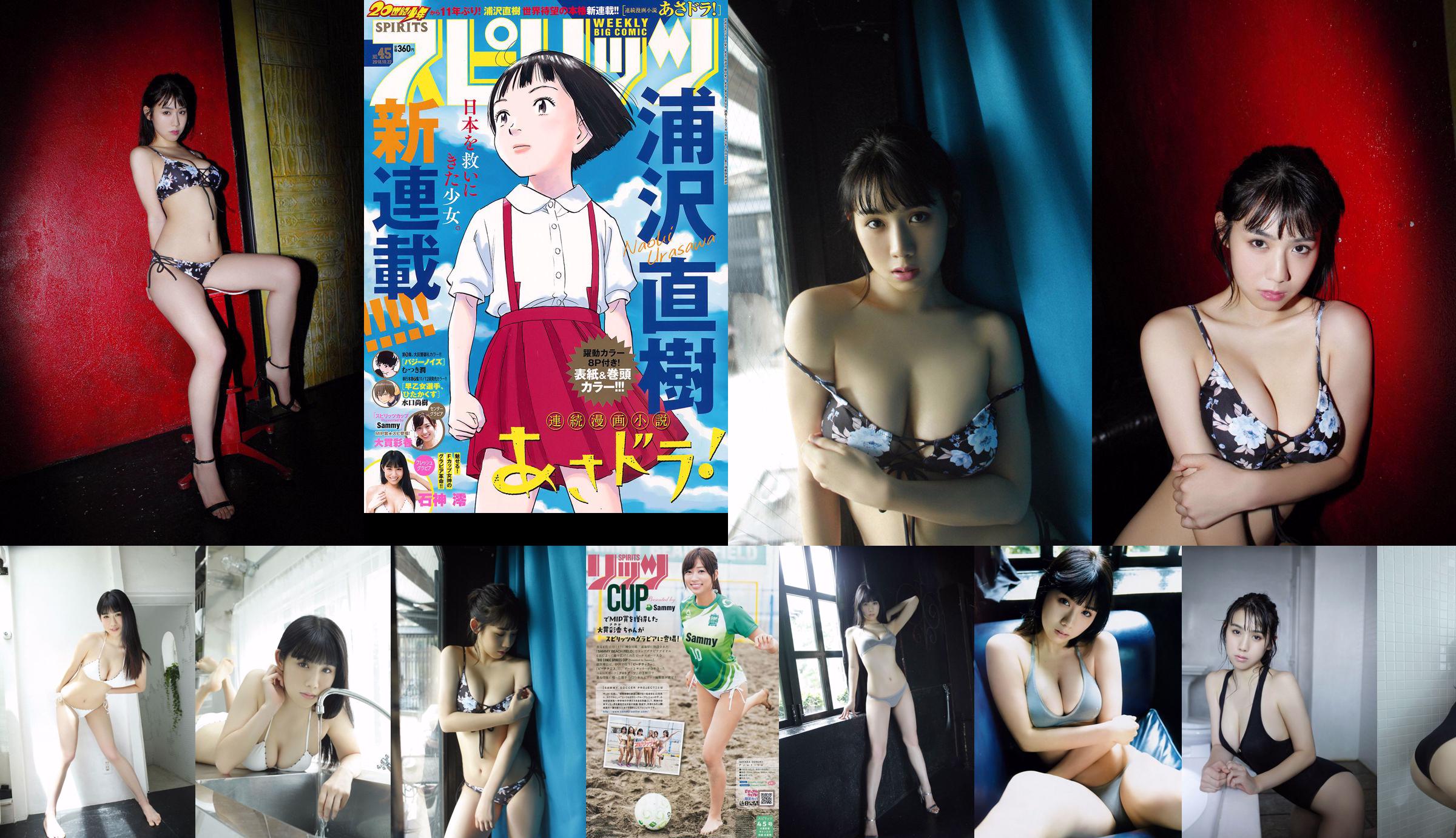 [Weekly Big Comic Spirits] Rei Ishigami Ishigami nr 45 Magazyn fotograficzny w 2018 roku No.1aa57d Strona 1
