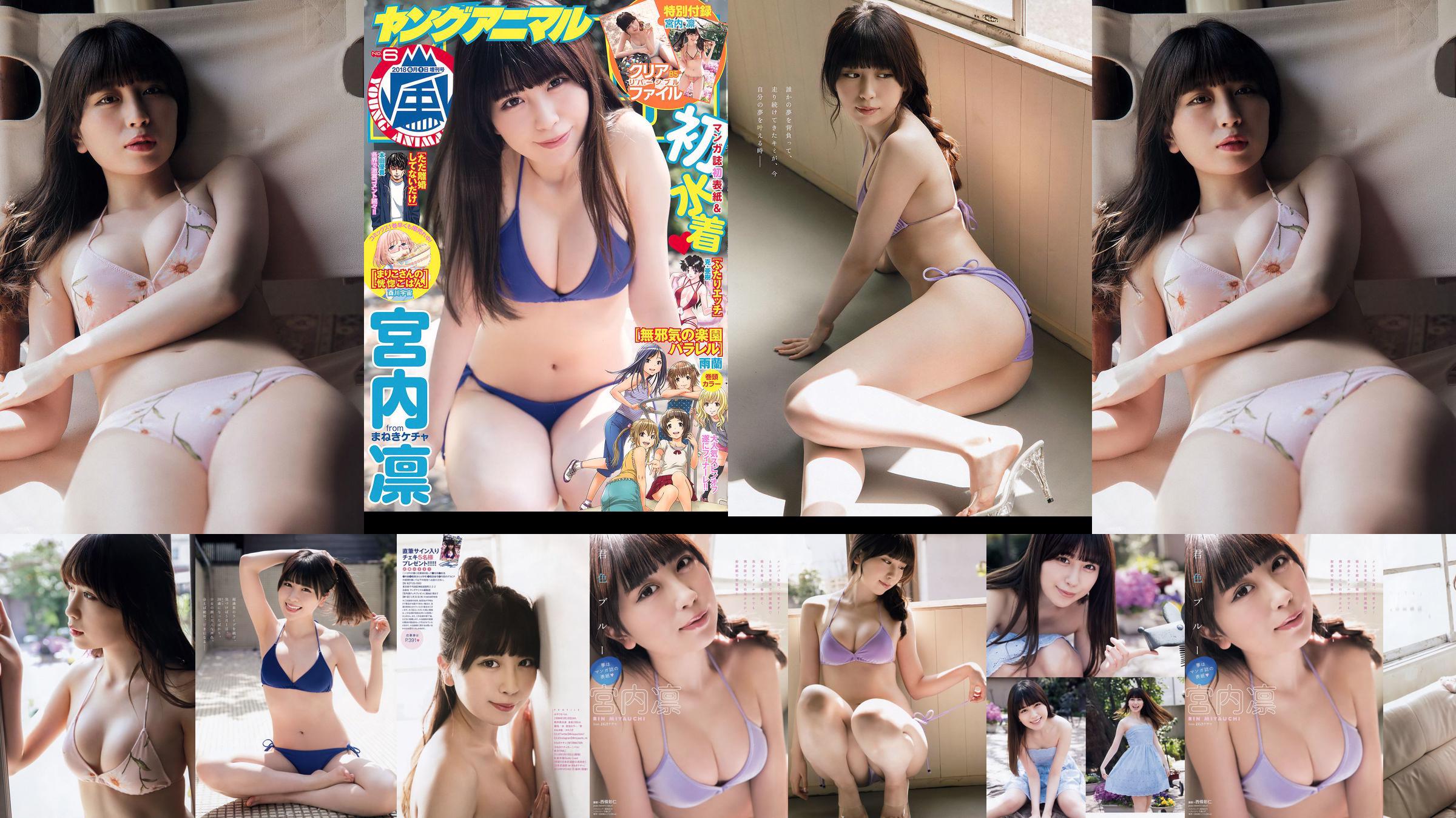 Rin Miyauchi [Young Animal Arashi] Arashi Special Issue 2018 No.06 Photo Magazine No.93344a Page 4